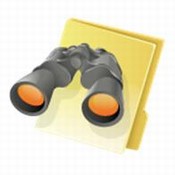 Site Search